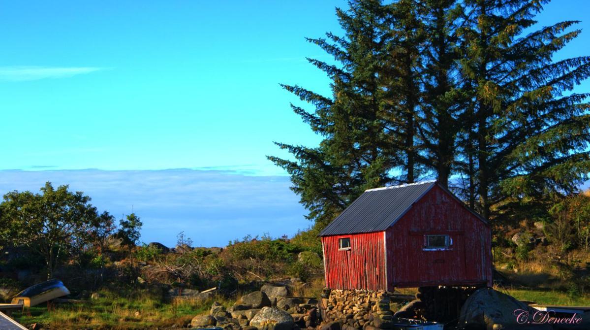 Hausvikstranda Lyngdal Exterior foto